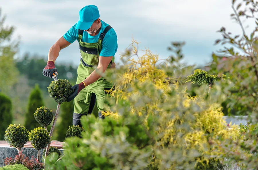 Professional Landscaping Services in Aurora, IL Landscape Contractor in Aurora, IL