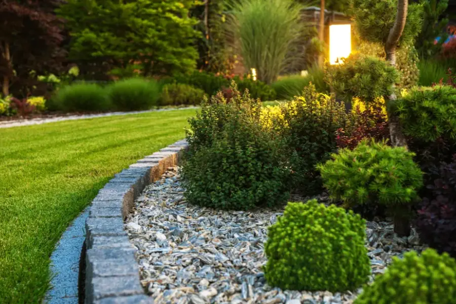 Choosing The Right Maintenance Schedule For Lawns Aurora, IL