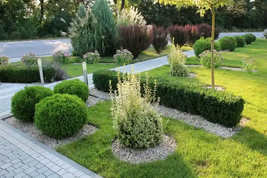 Choosing The Right Maintenance Schedule For Lawns in Aurora, IL