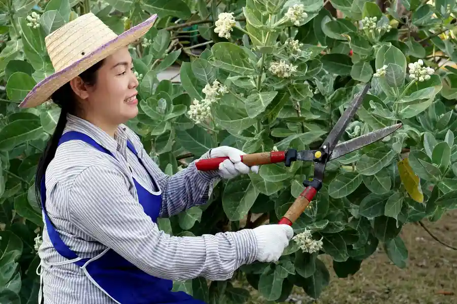 Excellent Gardening Services Aurora, IL