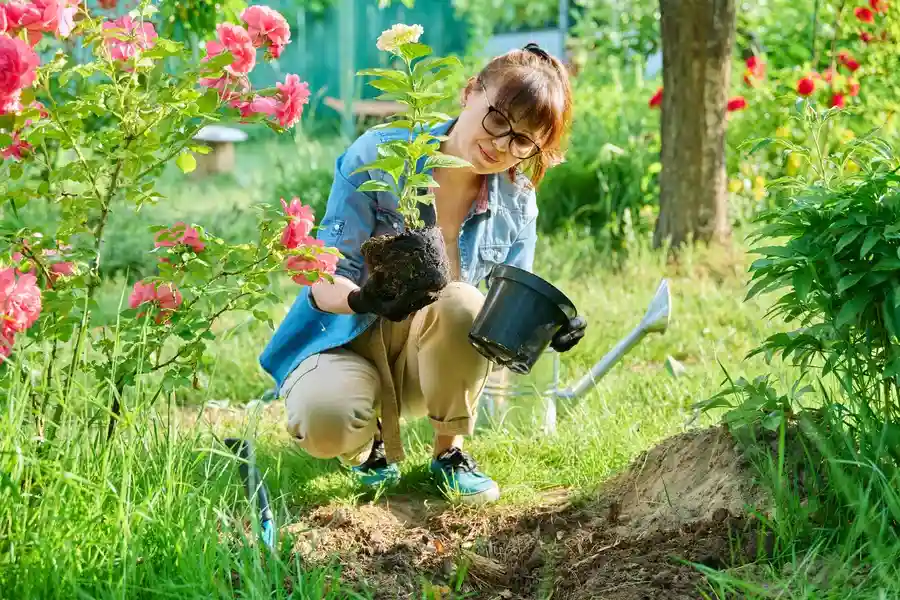 How To Choose The Right Plants For Your Garden Design Aurora, IL