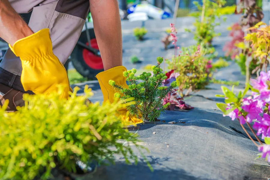 How To Choose The Right Plants For Your Garden Design in Aurora, IL