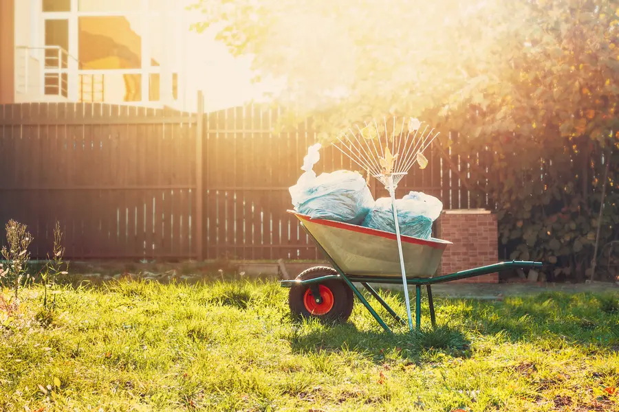 How Yard Cleanup Helps Prevent Pest Infestations And Diseases in Aurora, IL