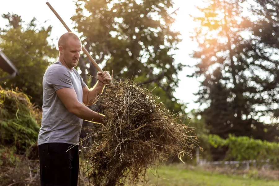 How Yard Cleanup Improves The Health Of Your Landscape in Aurora, IL How Yard Cleanup Improves The Health Of Your Landscape in Aurora, IL