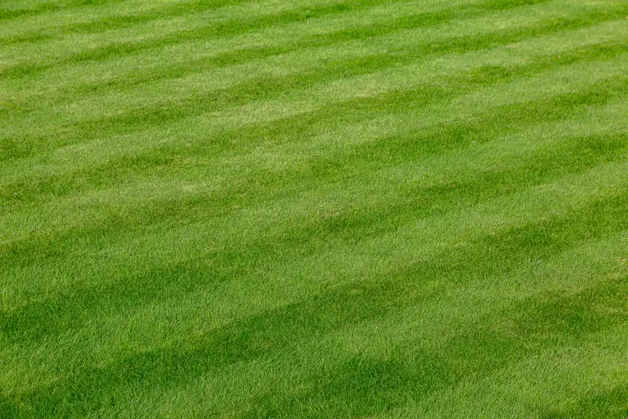 Lawn Care Tools Every Professional Landscaper Needs Aurora, IL
