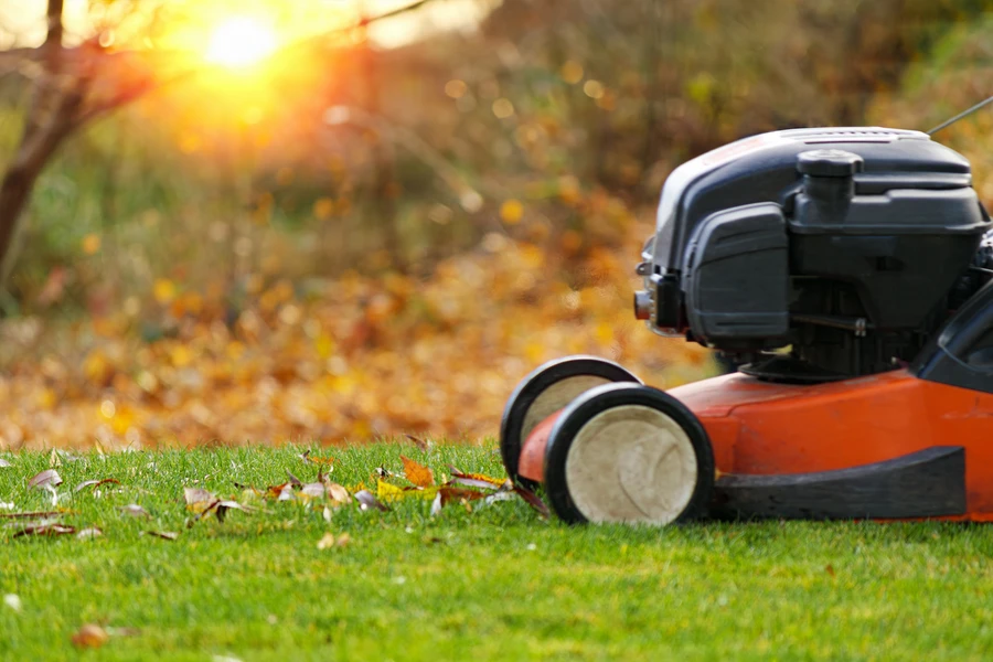 Lawn Care Tools Every Professional Landscaper Needs in Aurora, IL