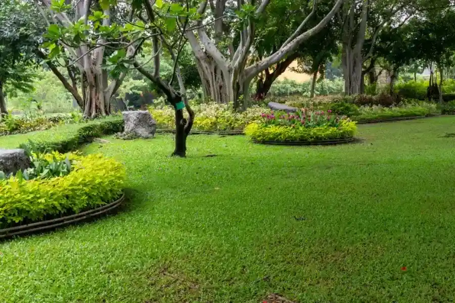 Professional Landscape Maintenance Aurora, IL