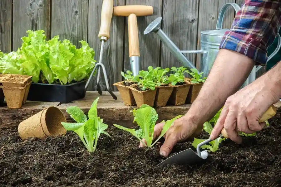Quality Gardening Services Aurora, IL