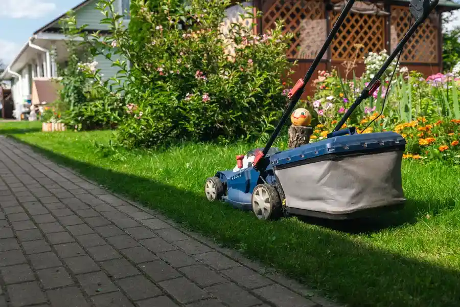Reputable Landscape Maintenance Aurora, IL