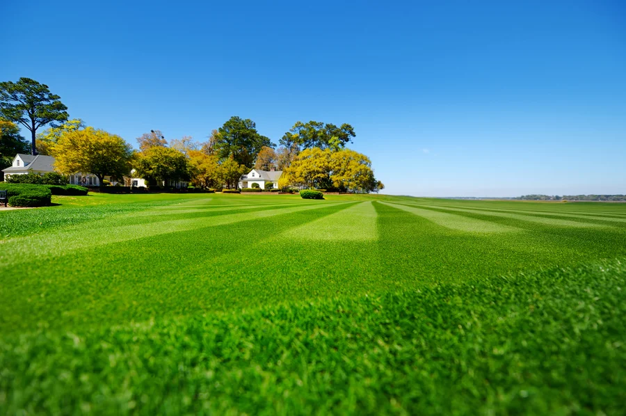The Importance Of Aeration In Professional Lawn Care in Aurora, IL The Importance Of Aeration In Professional Lawn Care in Aurora, IL