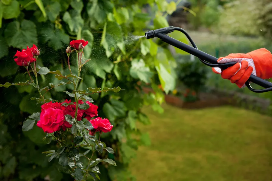 The Value Of Mulching Services In Maintaining Healthy Gardens Aurora, IL