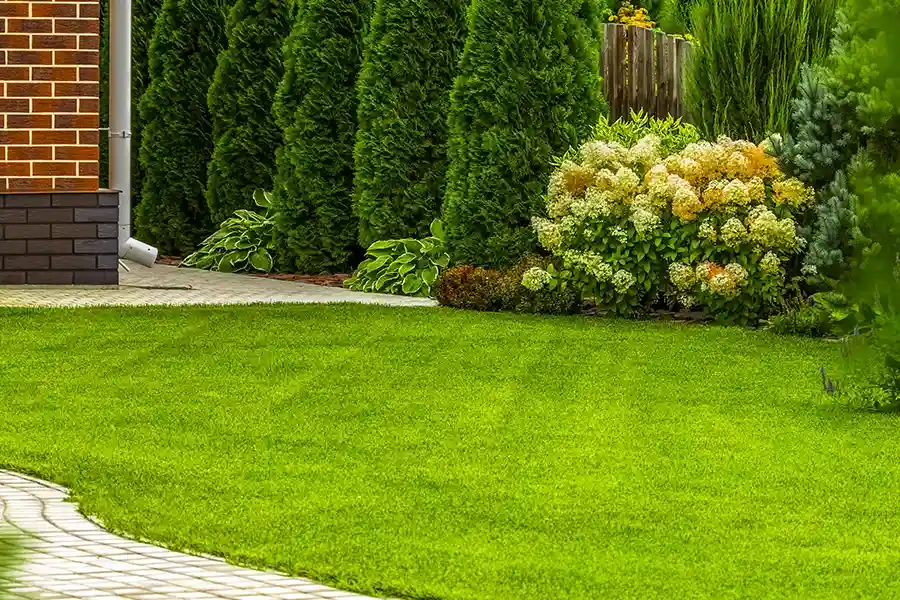 Top-rated Lawn Care Aurora, IL
