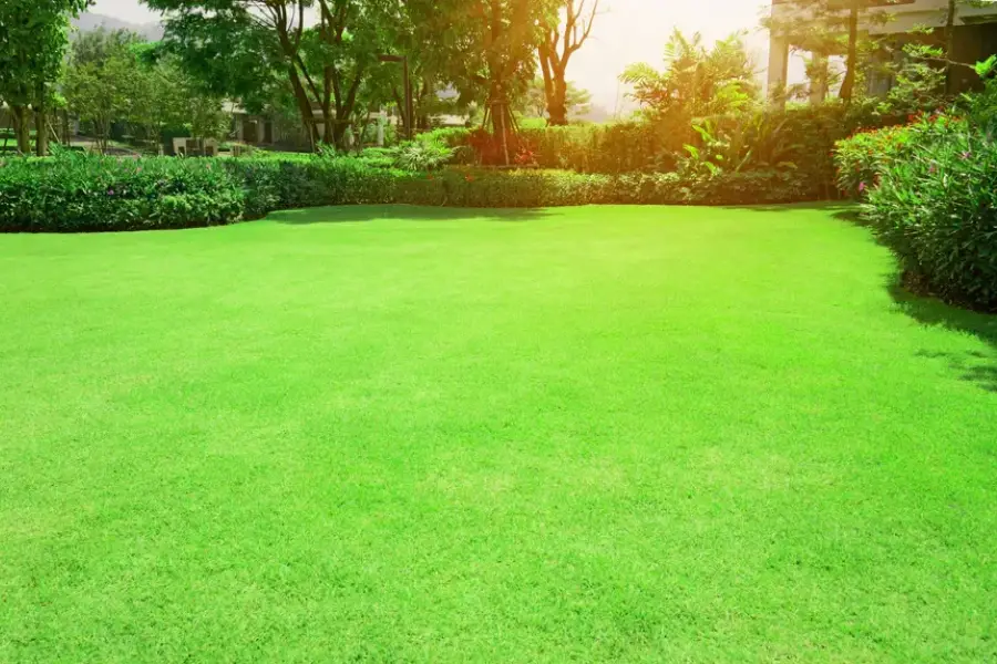 Understanding The Benefits Of Professional Lawn Care Aurora, IL